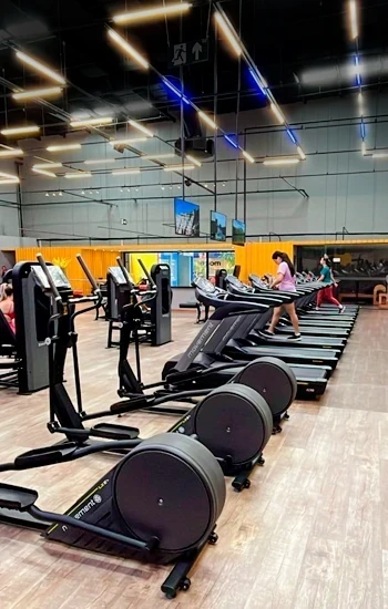 Gbarbosa Olívia Flores